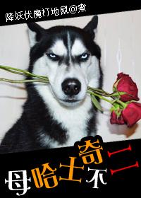 A mother husky!