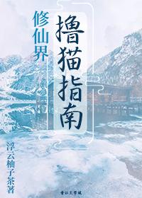 Guide to Cats in Xiuxianjie